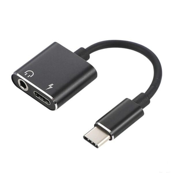 2 in 1 USB C