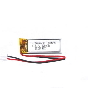 451230g Lithium ion polymer Battery