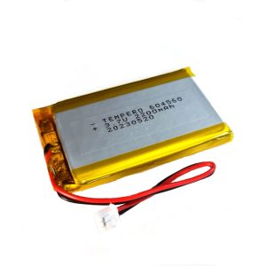604560 Lithium ion polymer Battery