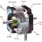 Stepper Motor